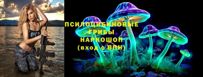 где купить наркотик  Оханск  Псилоцибиновые грибы Magic Shrooms 